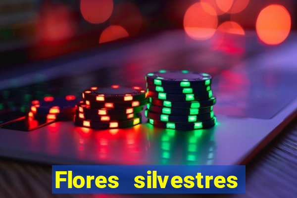 Flores silvestres brasileiras brasileiras flores silvestres nomes e imagens